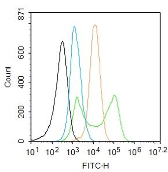 TLR4 Rabbit Polyclonal Antibody