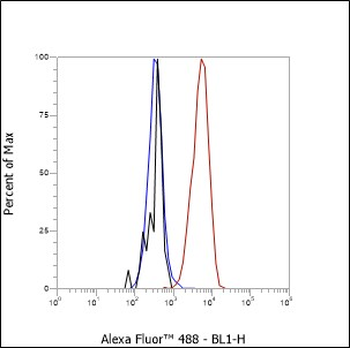 CD59 Recombinant Rabbit Monoclonal Antibody