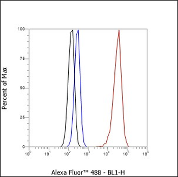 GSTP1 Recombinant Rabbit Monoclonal Antibody