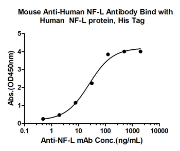NF-L Mouse Monoclonal Antibody