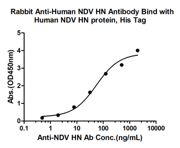 NDV HN Rabbit Polyclonal Antibody
