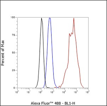Keratin 15 Recombinant Rabbit Monoclonal Antibody