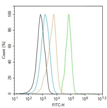 Human CD30 Mouse Monoclonal Antibody