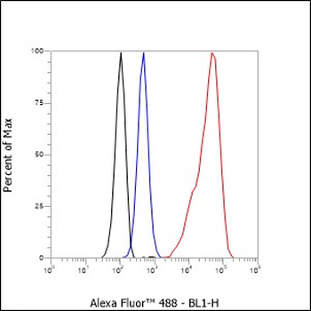 Pan Actin Recombinant Rabbit Monoclonal Antibody