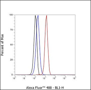 CD155 Recombinant Mouse Monoclonal Antibody