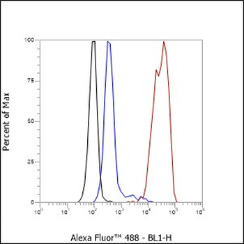 TFEB Recombinant Rabbit Monoclonal Antibody