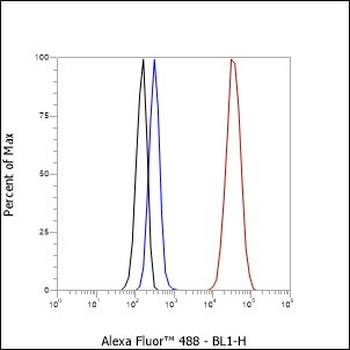 GPNMB Recombinant Rabbit Monoclonal Antibody