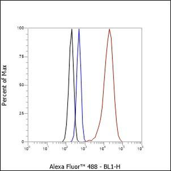 Alpha Synuclein Recombinant Rabbit Monoclonal Antibody