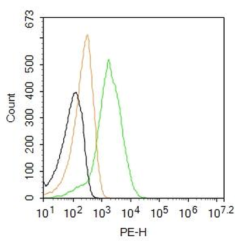 Bax Rabbit Polyclonal Antibody (PE)