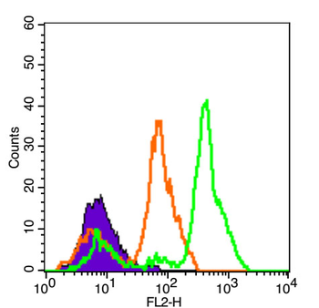 CD45 Rabbit Polyclonal Antibody (PE)