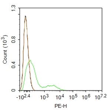 CD8 Rabbit Polyclonal Antibody (PE)