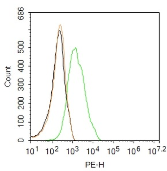 iNOS Rabbit Polyclonal Antibody (PE)