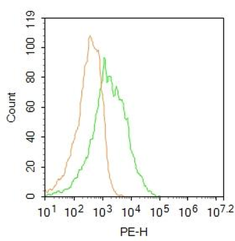 CD90/Thy-1 Rabbit Polyclonal Antibody (PE)