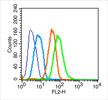 CD44 Rabbit Polyclonal Antibody