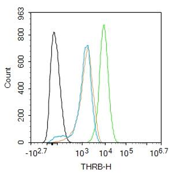 THRB Rabbit Polyclonal Antibody