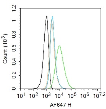 CD44 Rabbit Polyclonal Antibody