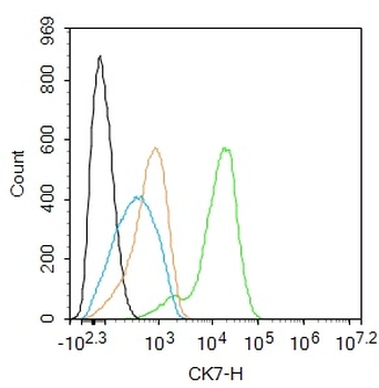 CK7 Rabbit Polyclonal Antibody