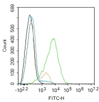 CLEC 4E Rabbit Polyclonal Antibody