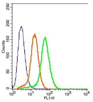 GPR78 Rabbit Polyclonal Antibody