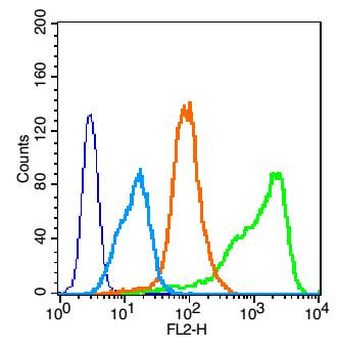 SVEGFR2 Rabbit Polyclonal Antibody