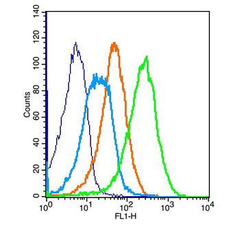 OSTM1 Rabbit Polyclonal Antibody
