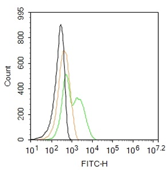 CD30 Rabbit Polyclonal Antibody (FITC)