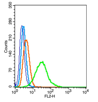 MARCH9 Rabbit Polyclonal Antibody