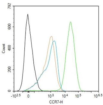 CCR7 Recombinant Rabbit Monoclonal Antibody