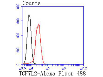 TCF7L2 Recombinant Rabbit Monoclonal Antibody
