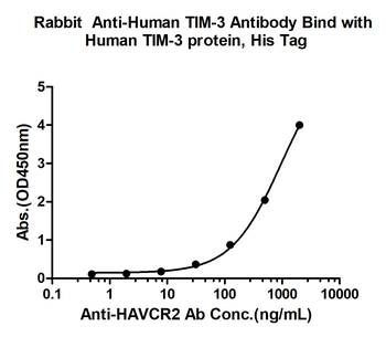 HAVCR2/TIM-3 Rabbit Polyclonal Antibody