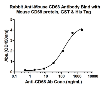 CD68 Rabbit Polyclonal Antibody