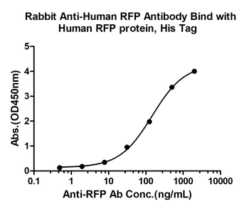 RFP Rabbit Polyclonal Antibody