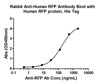 RFP Rabbit Polyclonal Antibody