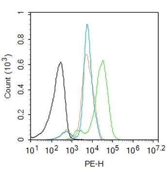 PPAR alpha Rabbit Polyclonal Antibody