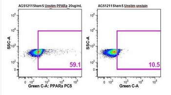PPAR alpha Rabbit Polyclonal Antibody