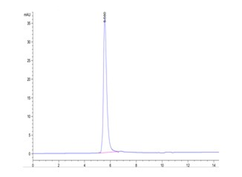 Recombinant human VEGFR2 protein, C-His-Avi (HEK293)