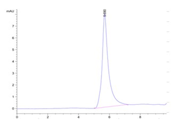 Recombinant human VEGFR1 protein, C-His-Avi (HEK293)