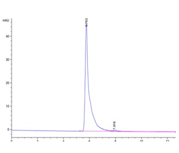 Recombinant human VEGFR2 protein, C-mFc (HEK293)