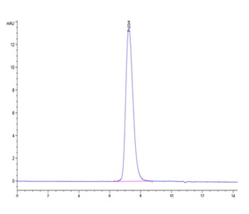 Recombinant human TNFRSF10D protein, C-His-Avi (HEK293)