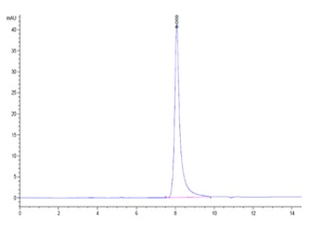 Recombinant human DR5 protein, C-His-Avi (HEK293)