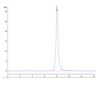 Recombinant human DR4 protein, C-His-Avi (HEK293)
