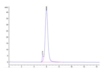 Recombinant Cyn. monkey TNFR2 protein, C-His (HEK293)