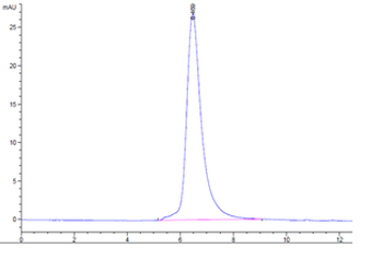 Recombinant human HAVCR2 protein, C-His (HEK293)