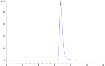 Recombinant human TGFBR2 protein, C-mFc-Avi (HEK293)