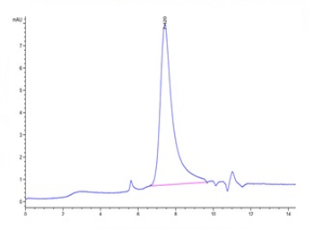 Recombinant human TFPI protein, C-His-Avi (HEK293)