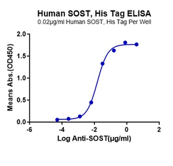 Recombinant human Sclerostin, N-His-Avi (HEK293)