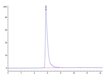 Recombinant human SIGLEC8 protein, C-hFc (HEK293)