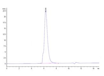 Recombinant human SIGLEC5 protein, C-hFc (HEK293)