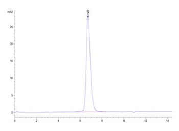 Recombinant human SIGLEC3 protein, C-hFc (HEK293)