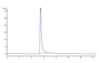 Recombinant human P-Selectin, C-His-Avi (HEK293)